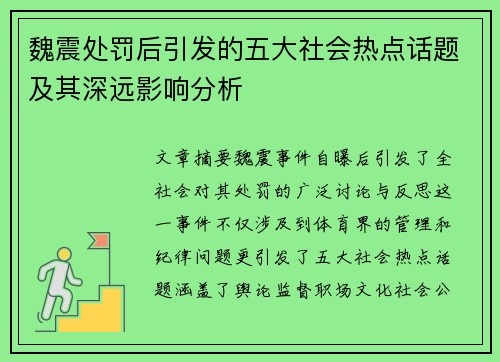 魏震处罚后引发的五大社会热点话题及其深远影响分析
