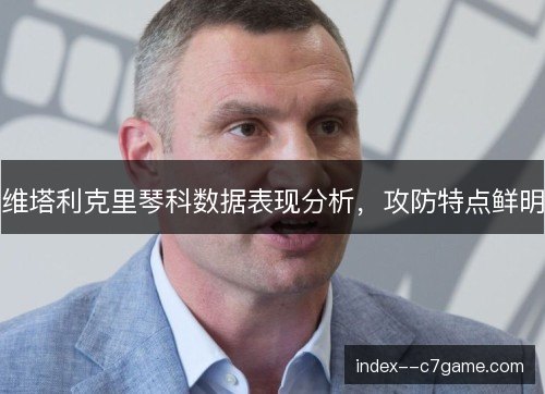 维塔利克里琴科数据表现分析，攻防特点鲜明